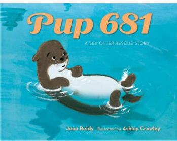 Pup 681: A Sea Otter Rescue Story