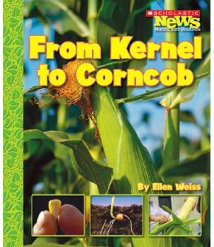 From Kernel to Corncob