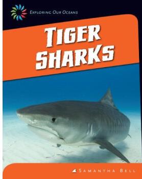 Tiger Sharks