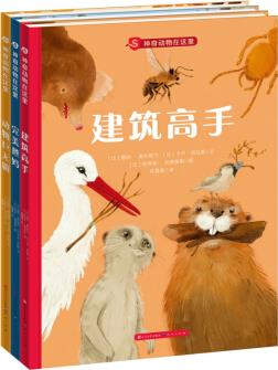 神奇動物在這里(共三冊)精裝 近距離探索 奇妙動物世界 生存智慧 大自然 7-10歲