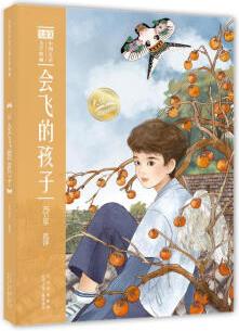 大語文中國兒童文學(xué)典藏 會(huì)飛的孩子 幼兒圖書 早教書 故事書 兒童書籍 圖書