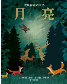 月亮: 夜晚擁抱的世界