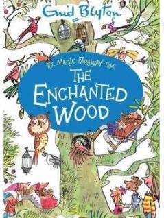 Magic Faraway Tree: The Enchanted Wood: Book 1