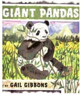 Giant Pandas