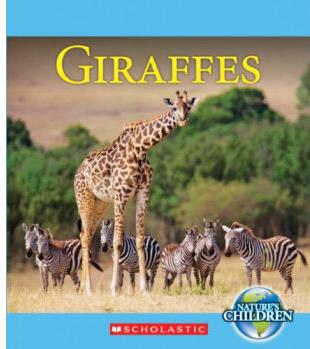 Giraffes