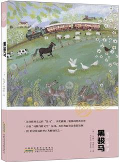 黑駿馬/你好,神奇動(dòng)物!世界生態(tài)文學(xué)經(jīng)典叢書(shū)