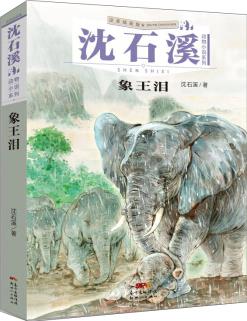 沈石溪動物小說系列: 象王淚(注音插畫版)