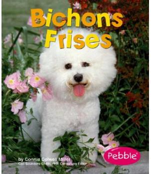 Bichons Frises