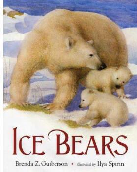 Ice Bears