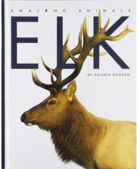 Elk