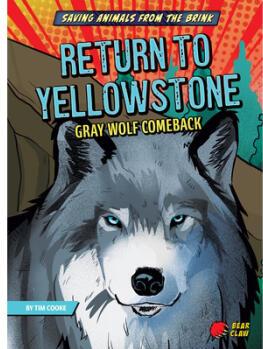 Return to Yellowstone: Gray Wolf Comeback