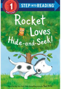 Rocket Loves Hide-And-Seek!