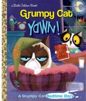 Yawn! a Grumpy Cat Bedtime Story (Grumpy Cat)