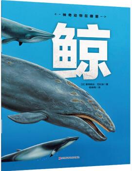 鯨/神奇動物在哪里 幼兒圖書 早教書 故事書 兒童書籍 圖書