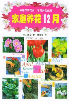 家庭養(yǎng)花12月——快樂養(yǎng)花叢書【正版圖書 放心購(gòu)買】