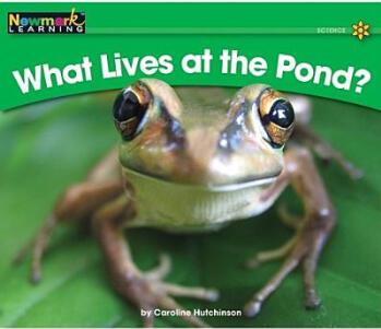 What Lives at the Pond?