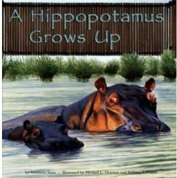 A Hippopotamus Grows Up