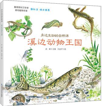 溪邊動(dòng)物王國(guó)幼兒圖書 早教書 故事書 兒童書籍