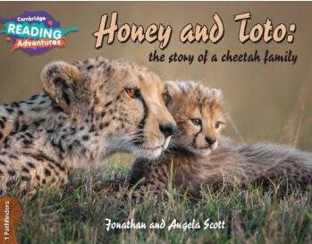 Honey and Toto: The Story of a Cheetah