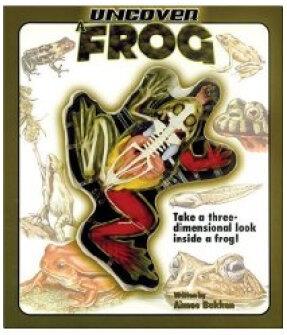 Uncover a Frog [With Model of