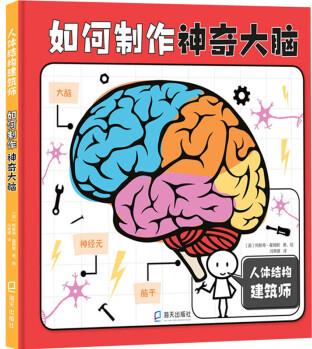 人體結(jié)構(gòu)建筑師: 如何制作神奇大腦