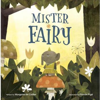 Mister Fairy