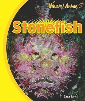 Stonefish