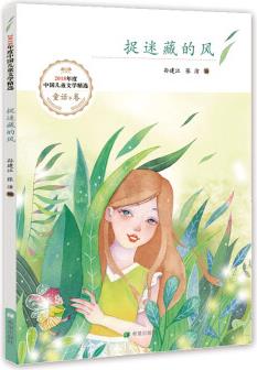捉迷藏的風(fēng)幼兒圖書 早教書 故事書 兒童書籍 孫建江張潔