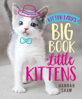 Kitten Lady's Big Book of Little Kittens