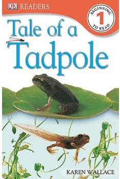 Tale of a Tadpole