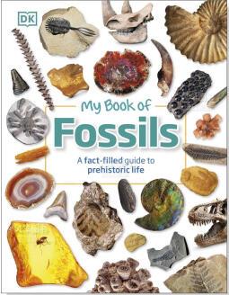 My Book of Fossils