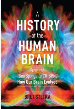 A History of the Human Brain: From the Sea S...