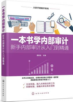 從新手到高手系列: 一本書(shū)學(xué)內(nèi)部審計(jì)