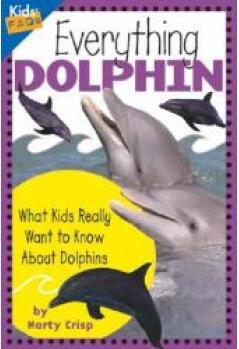 Everything Dolphin