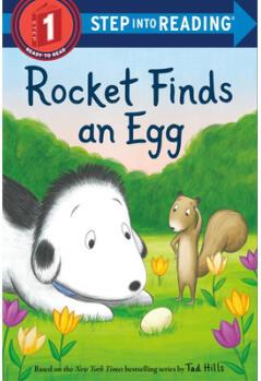 Rocket Finds an Egg