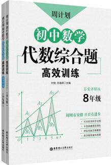 周計劃: 初中數(shù)學(xué)代數(shù)綜合題高效訓(xùn)練(8年級)