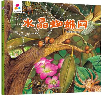 水晶蜘蛛網(wǎng) 親子互動 硬殼精裝兒童繪本3-6歲幼兒啟蒙 [3-5歲]