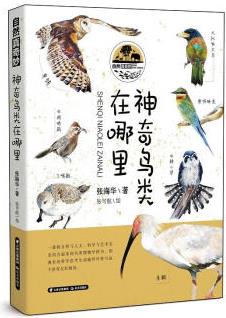 神奇鳥類在哪里 幼兒圖書 早教書 故事書 兒童書籍 圖書