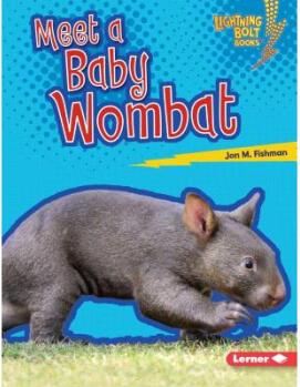 Meet a Baby Wombat