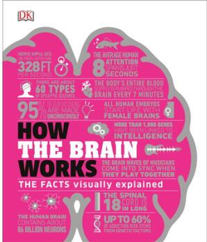 How the Brain Works: The Facts Visually Expl...