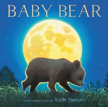 Baby Bear Board Book 小熊圖畫書 英文原版