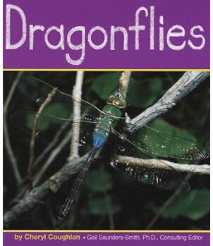 Dragonflies