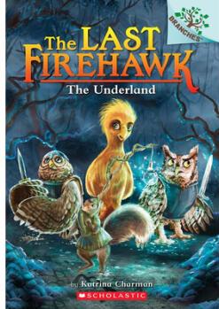 The Last Firehawk 11: The Underland