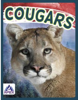 Wild Cats: Cougars