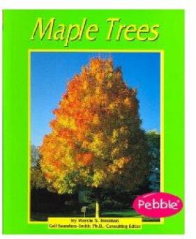 Maple Trees