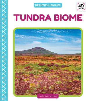 Tundra Biome