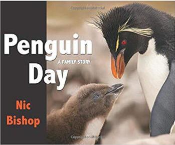 Penguin Day