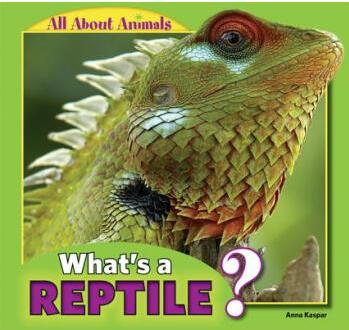 What's a Reptile?