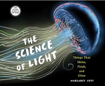 The Science of Light: Things That Shine, Fla...