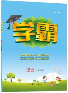 23春小學(xué)學(xué)霸六年級下冊語文人教版RJ練習冊教材專項小學(xué)霸課時作業(yè)本訓(xùn)練